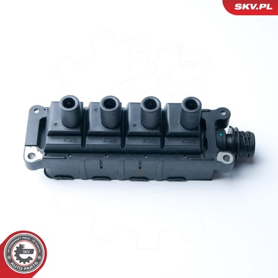 BMW 3 SERIES 5 Z3 IGNITION COIL | OEM 12131247281