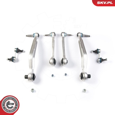 BMW 5 SERIES E39 REAR CONTROL ARM SET | OEM 36803