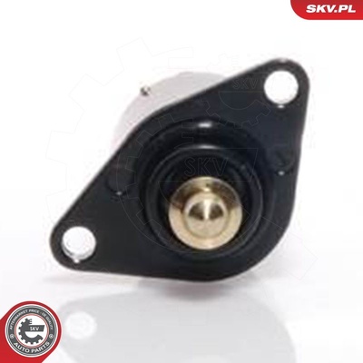 CITROEN PEUGEOT 206 IDLE CONTROL VALVE | OEM 19209V