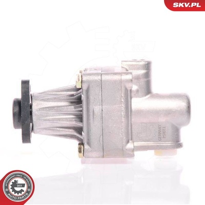 BMW 3 SERIES E36 POWER STEERING PUMP | OEM 32411141419