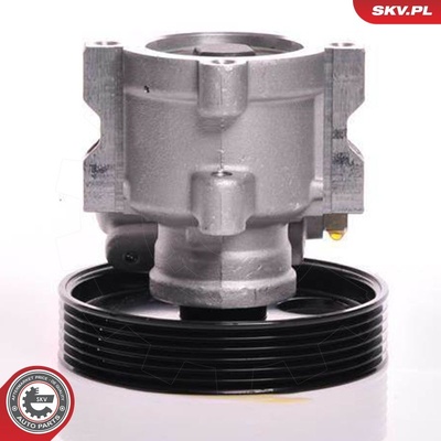 CITROEN JUMPY FIAT SCUDO PEUGEOT 406 EXPERT POWER STEERING PUMP | OEM 4007W5