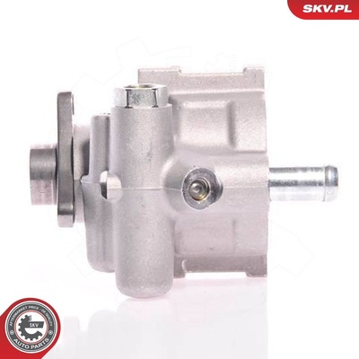 RENAULT LAGUNA I II MEGANE I MEGANE SCENIC POWER STEERING PUMP | OEM 7700417207