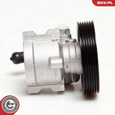 CITROEN XSARA ZX PEUGEOT 306 405 POWER STEERING PUMP | OEM 4007A3