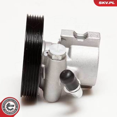 CITROEN XSARA PEUGEOT 306 POWER STEERING PUMP | OEM 4007X0