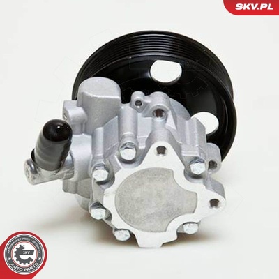 MERCEDES GL ML R-CLASS S-CLASS POWER STEERING PUMP | OEM 0044668301