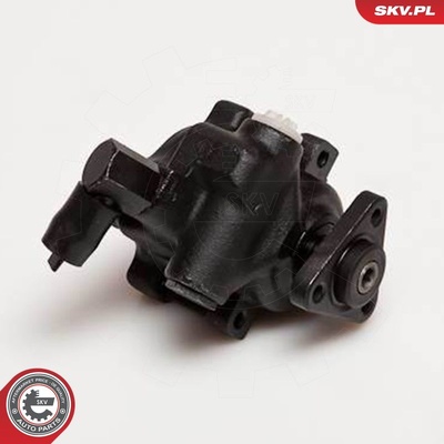 FORD ESCORT ORION POWER STEERING PUMP | OEM F5RC3A674GA