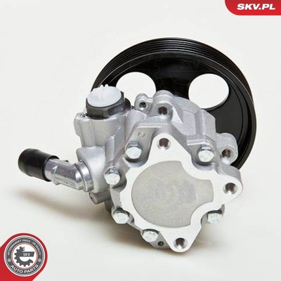 CITROEN C4 C5 II III PEUGEOT 206 207 307 407 POWER STEERING PUMP | OEM 9656405380