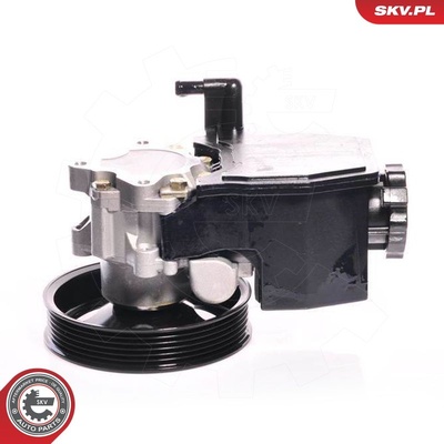 MERCEDES CLK C-CLASS E-CLASS M-CLASS SLK SPRINTER VITOVW LT POWER STEERING PUMP | OEM 24663001