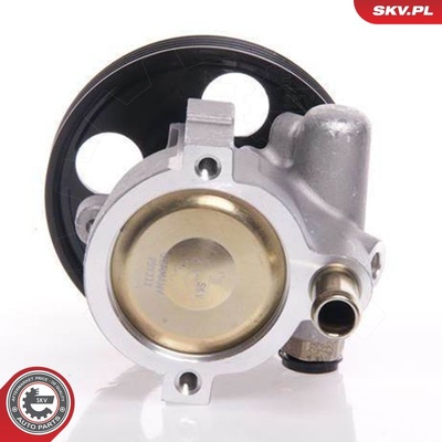RENAULT CLIO II KANGOO POWER STEERING PUMP | OEM 7700840105