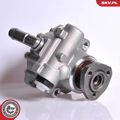 SEAT CORDOBA IBIZA TOLEDO VW GOLF PASSAT POLO SHARAN POWER STEERING PUMP | OEM 028145157D