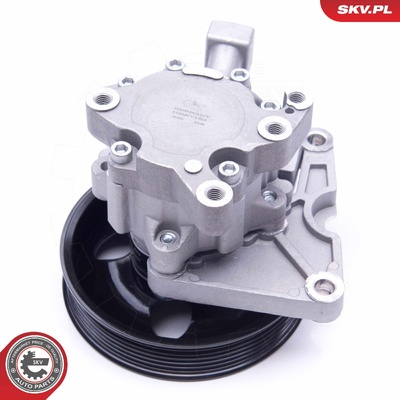 MERCEDES GL-CLASS M-CLASS R-CLASS POWER STEERING PUMP | OEM 44667601