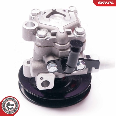 HYUNDAI GRACE POWER STEERING PUMP | OEM 5710043001