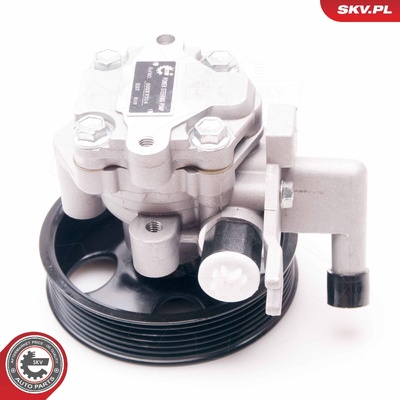 HYUNDAI ELANTRA TUCSON KIA CARENS III MAGENTIS SPORTAGE POWER STEERING PUMP | OEM 571002E200