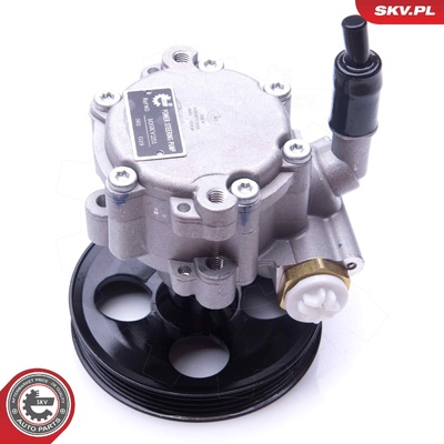 DACIA LOGAN SANDERO 1.2 POWER STEERING PUMP | OEM 49110-1451R