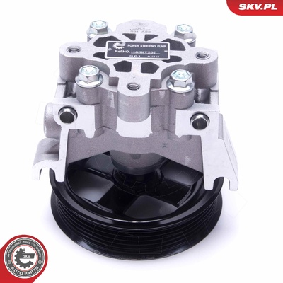 LAND ROVER FREELANDER II 2.2 POWER STEERING PUMP | OEM 7H123F816AA