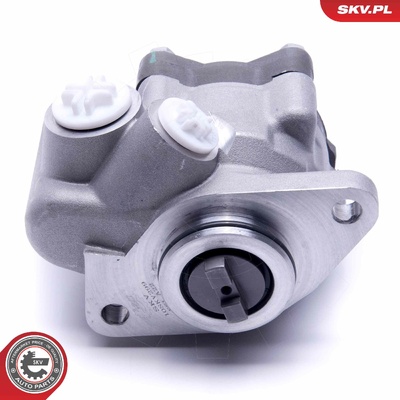 MERCEDES-BENZ VARIO POWER STEERING PUMP | OEM A1460808080