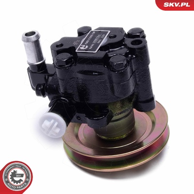 NISSAN PATROL GR V POWER STEERING PUMP | OEM 49110-VB300