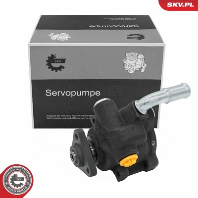 Power steering pump 10SKV367