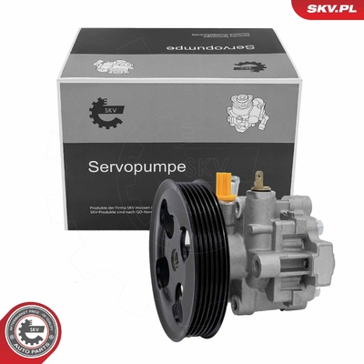 Power steering pump 10SKV371