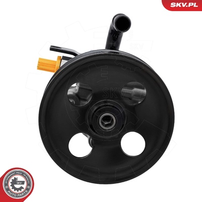 Power steering pump 10SKV392