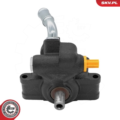 Power steering pump 10SKV393