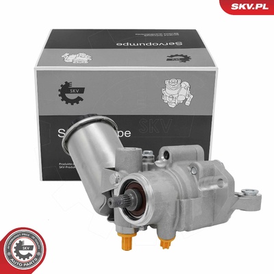 Power steering pump 10SKV420