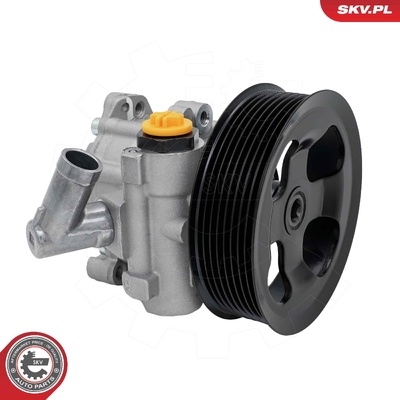 Power steering pump 10SKV424