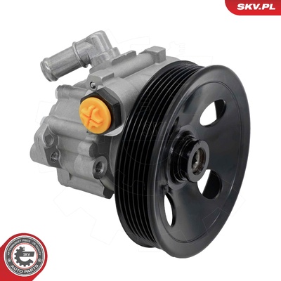 NISSAN CABSTAR ATLEON POWER STEERING PUMP | OEM 49110-9X400