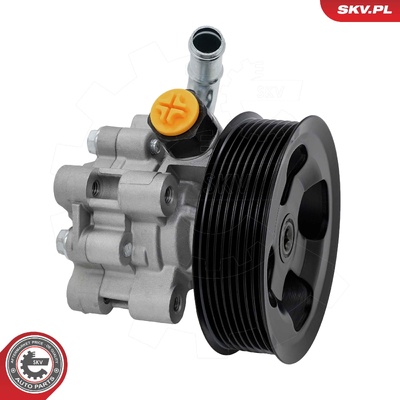 Power steering pump 10SKV459