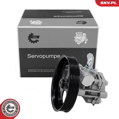 Power steering pump 10SKV474