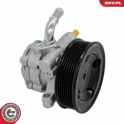 Power steering pump 10SKV484