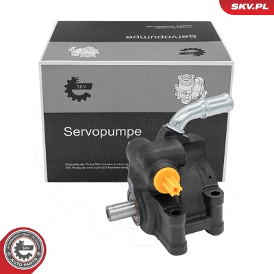 Power steering pump 10SKV503