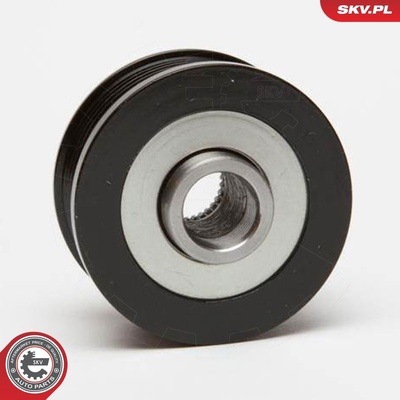 Alternator clutch pulley 11SKV054