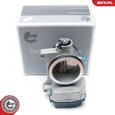 RENAULT CLIO II KANGOO LAGUNA II MEGANE I II SCENIC II THROTTLE BODY | OEM 8200063652