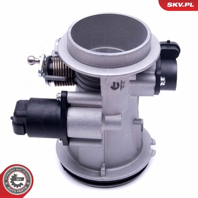 DACIA LOGAN MCV SANDERO RENAULT THALIA I MEGANE I KANGOO CLIO II THROTTLE BODY | OEM 8200908869