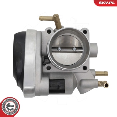 VW NEW BEETLE CONVERTIBLE THROTTLE BODY | OEM 06A133062S