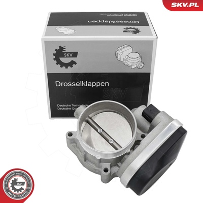 DODGE RAM 1500 PICKUP, 2500 PICKUP THROTTLE BODY | OEM 53032801AC
