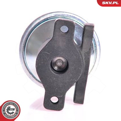 AUDI FORD SEAT VW EGR VALVE | OEM 028131501A