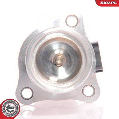 RENAULT MEGANE LAGUNA OPEL MOVANO EGR VALVE | OEM 8200542997