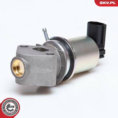 VW SEAT EGR VALVE | OEM 06A131501E