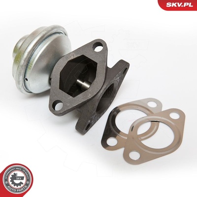 RENAULT LAGUNA EGR VALVE | OEM 17098055