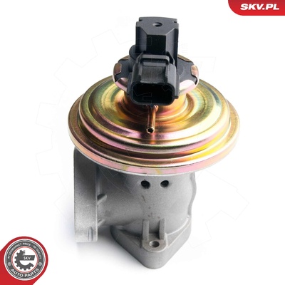 FORD TRANSIT EGR VALVE | OEM 1120698