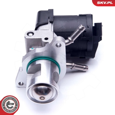 BMW EGR VALVE | OEM 11717810871
