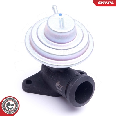CITROEN C8 EVASION JUMPY FIAT SCUDO ULYSSE LANCIA PHEDRA PEUGEOT 806 807 EXPERT SUZUKI GRAND VITARA I EGR VALVE | OEM 1628RH