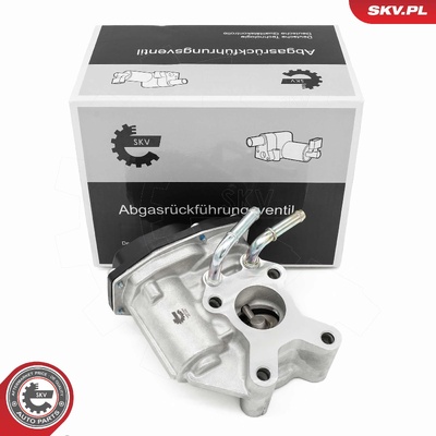 NISSAN CABSTAR NAVARA PATHFINDER EGR VALVE | OEM 14710-5X00D