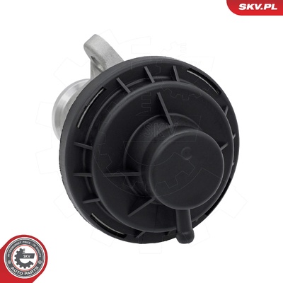 VW CADDY III 2KA, 2KH, 2CA, 2CH EGR VALVE | OEM 038131501AH