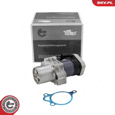 MERCEDES-BENZ SPRINTER B906 EGR VALVE | OEM A6461420019