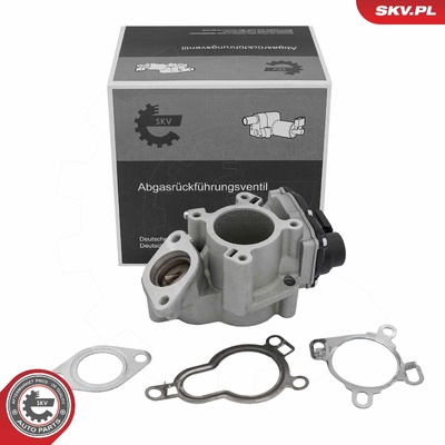 NISSAN PRIMASTAR X83 QASHQAI J10, NJ10, JJ10E, X-TRAIL II OPEL VIVARO (X83 RENAULT VEL BJ0_ EGR VALVE | OEM 14956-00Q1A