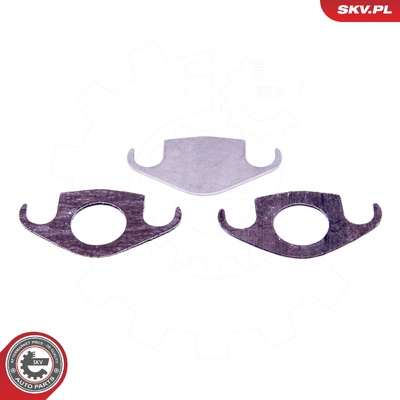 BMW 1ER 3ER 5ER 7ER X1 X3 X5 X6 EGR REPAIR KIT