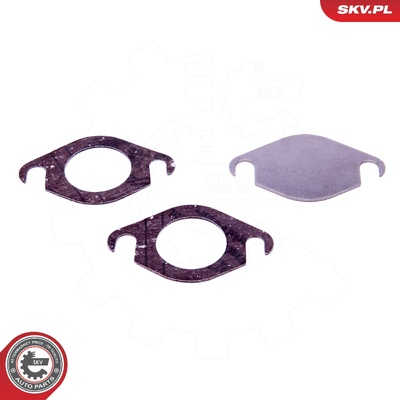 RENAULT NISSAN OPEL 2.0 DCI CDTI EGR REPAIR KIT